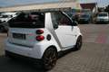 smart forTwo CDI (33kW) cabrio Weiß - thumnbnail 4