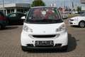 smart forTwo CDI (33kW) cabrio Weiß - thumnbnail 2