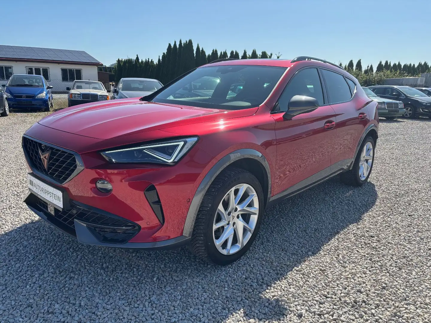 CUPRA Formentor 1.5 TSI DSG +360GRAD+PANO+MATRIX+ACC+ Rot - 1