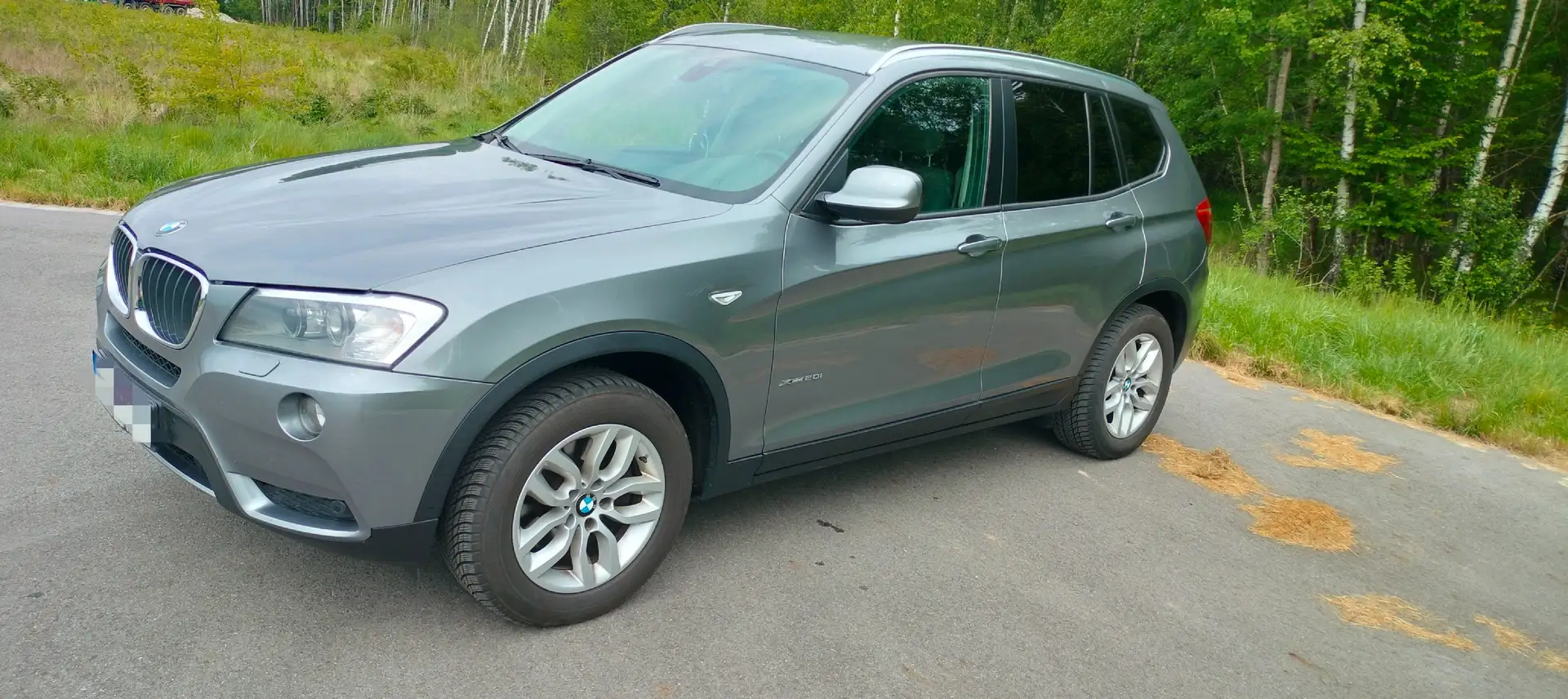 BMW X3 X3 sDrive20i F25 Silber - 2