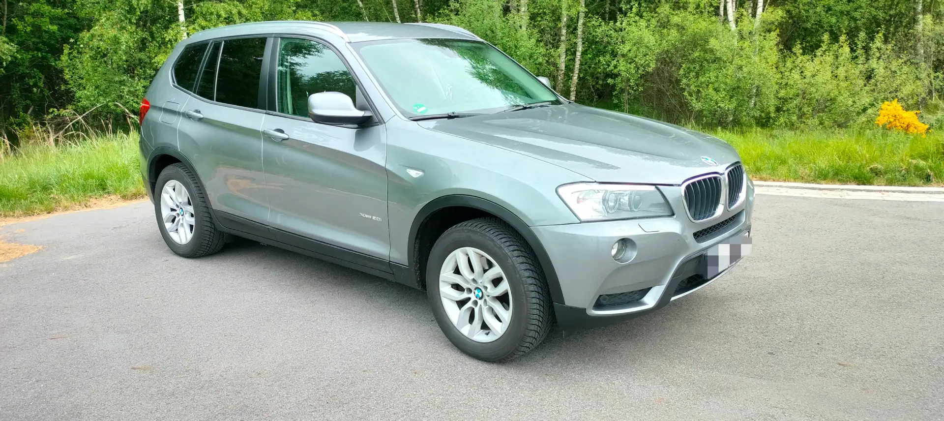 BMW X3 X3 sDrive20i F25 Silber - 1