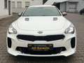 Kia Stinger GT 4WD*V6*3.3*TOP*HK*VOLL Blanc - thumbnail 3