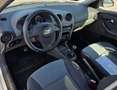 SEAT Ibiza 5p 1.4 tdi Stylance (signo) - thumbnail 7