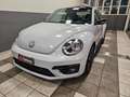 Volkswagen Maggiolino Maggiolino 2017 1.2 tsi Design 105cv Weiß - thumbnail 1