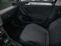 Volkswagen Tiguan 1.5 TSI Life Pano Navi LED Park-Lenk Bleu - thumbnail 12