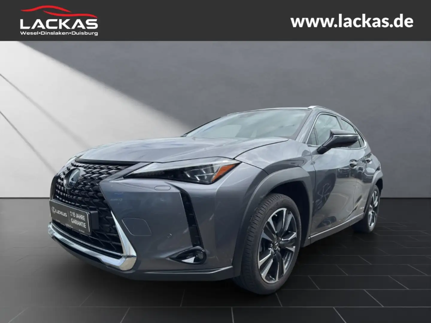 Lexus UX 250h LUXURY*MARK LEVINSON*SCHIEBEDACH*AHK*GARANTIE Grau - 1