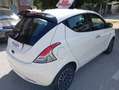 Lancia Ypsilon 1.0 FireFly 5 porte Hybrid Platino Pari al Nuovo Bianco - thumbnail 4