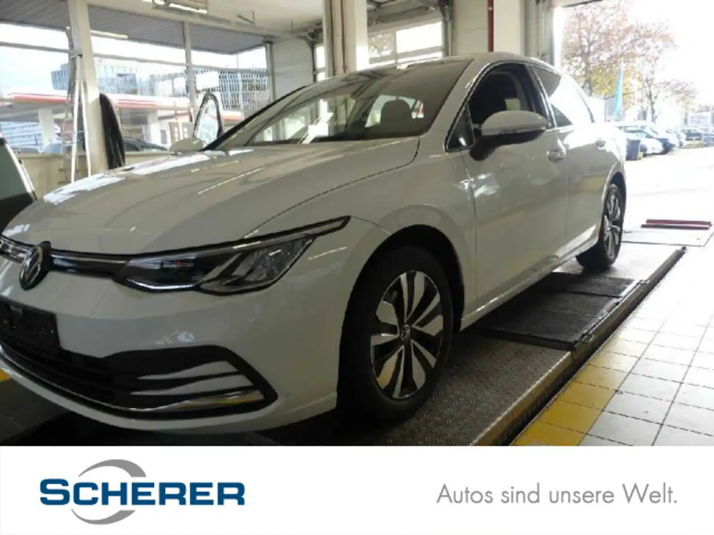 Volkswagen Golf VIII 1.5 TSI Move NAVI APP SHZ ACC PDC Weiß - 1