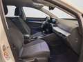 Volkswagen Golf VIII 1.5 TSI Move NAVI APP SHZ ACC PDC Weiß - thumbnail 4