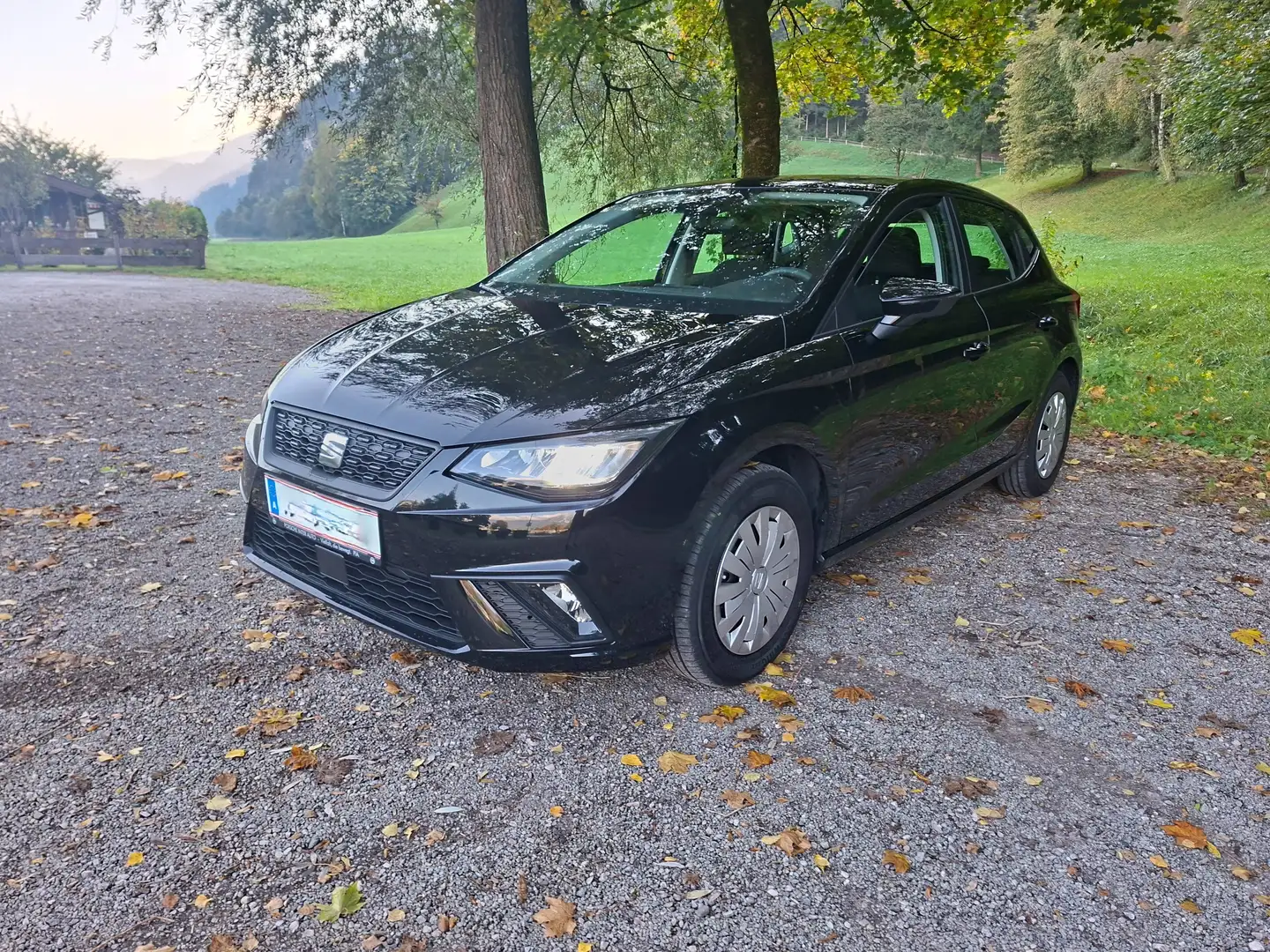 SEAT Ibiza Ibiza 1,0 TSI Reference Edition 40 Reference Edition 40 Schwarz - 1