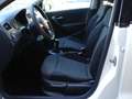 Volkswagen Polo 1.6 TDI 90CV DPF 5 porte Comfortline Bianco - thumbnail 8