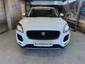 Jaguar E-Pace E-Pace Basis AWD Weiß - thumbnail 2