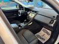 Jaguar E-Pace E-Pace Basis AWD Weiß - thumbnail 4