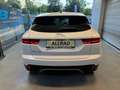 Jaguar E-Pace E-Pace Basis AWD Weiß - thumbnail 8