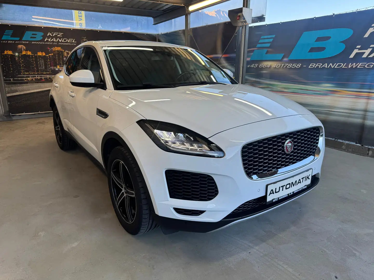 Jaguar E-Pace E-Pace Basis AWD Weiß - 1