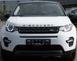 Land Rover Discovery Sport 2.0 TD4 SE Aut.AWD+NAVI+LEDER+BI-XENON+KLIMATR+PDC Weiß - thumbnail 3