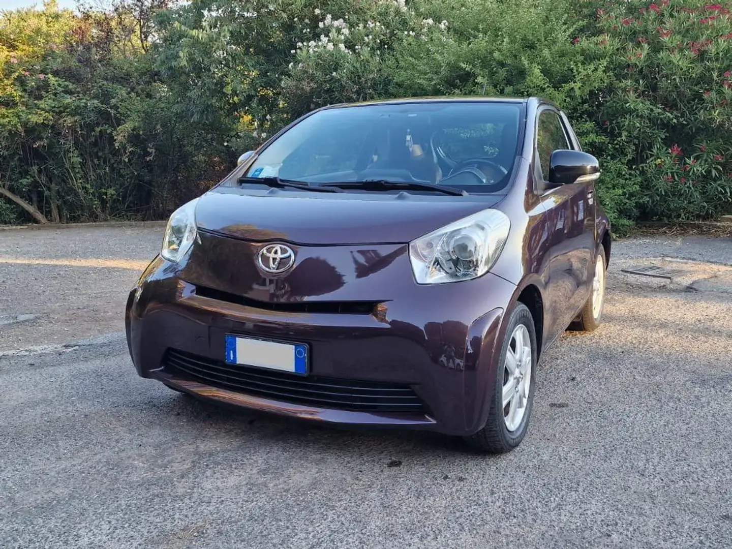 Toyota iQ iQ 1.0 cvt (multidrive) Фіолетовий - 2