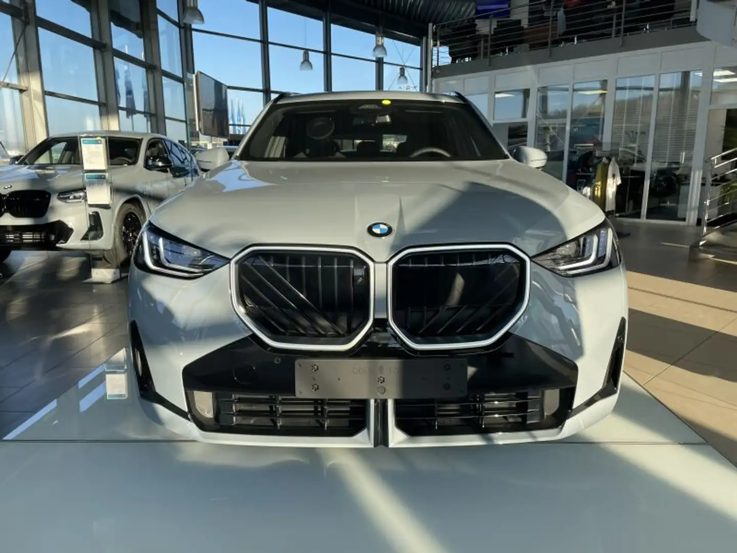 BMW X3 xDrive20 G45 B48 M Sportpaket Šedá - 1