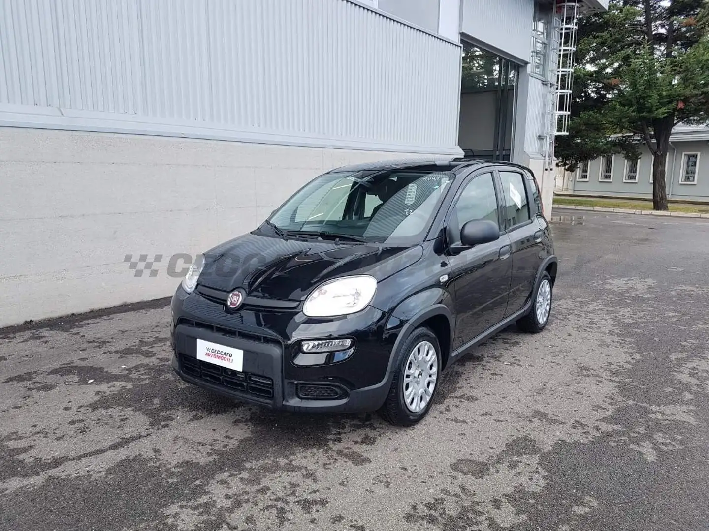 Fiat Panda Panda 1.0 70cv Hybrid Panda Nero - 1