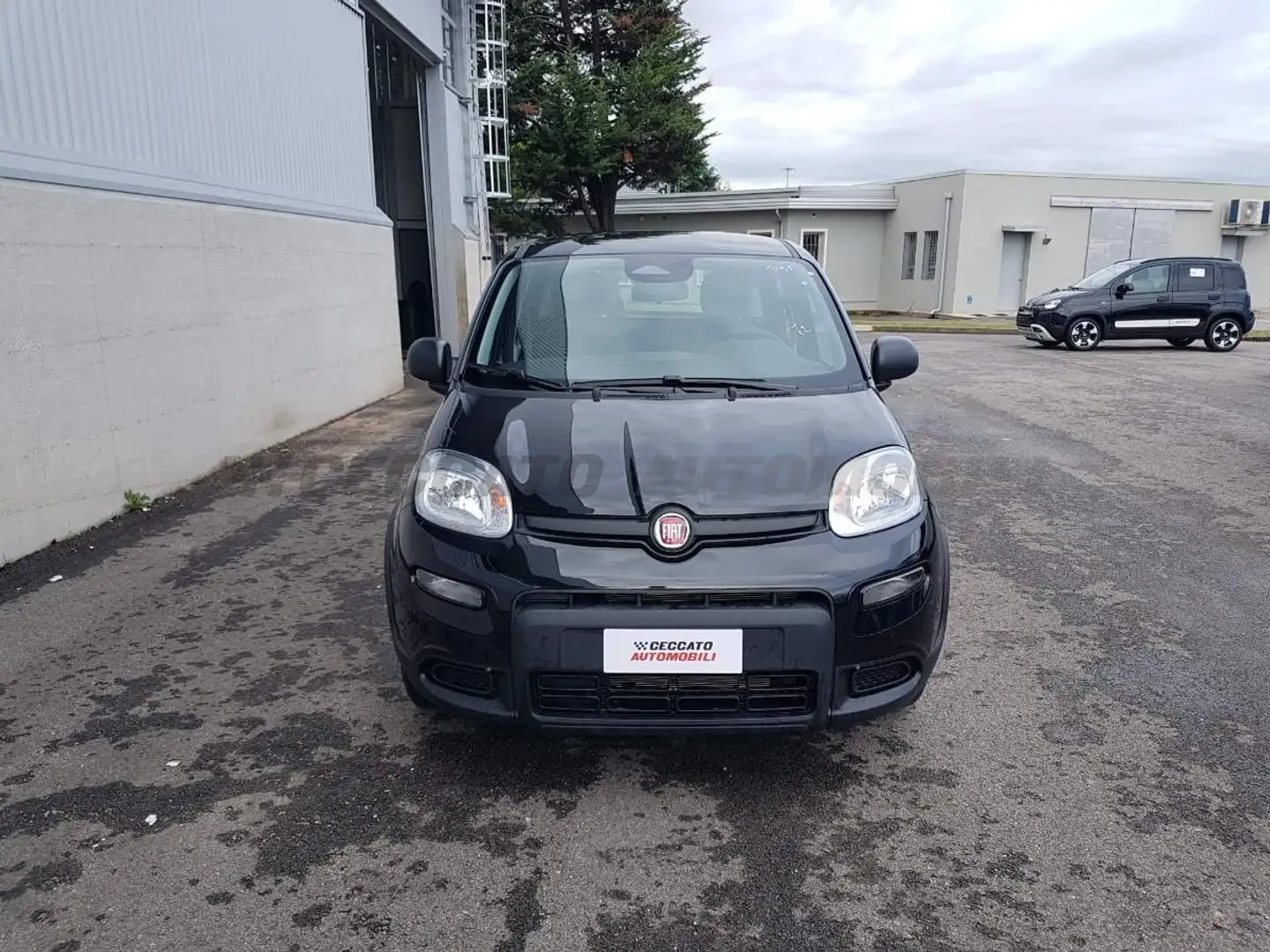 Fiat Panda Panda 1.0 70cv Hybrid Panda Nero - 2