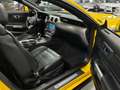 Ford Mustang Cabrio 2.3 Clim Cuir Gps Camera Xenon Full Opt Jaune - thumbnail 16