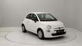 Fiat 500 1.0 hybrid Cult 70cv Weiß - thumbnail 7