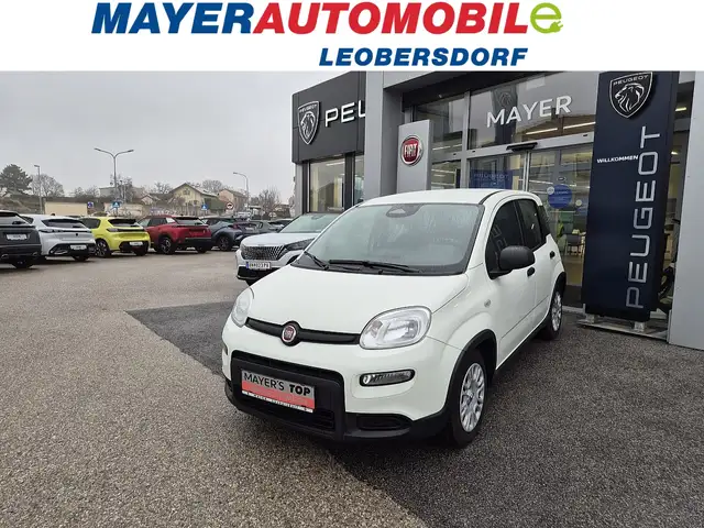 Fiat Panda 4x2 FireFly Hybrid 70