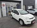 Fiat Panda 4x2 FireFly Hybrid 70 Weiß - thumbnail 3