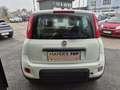 Fiat Panda 4x2 FireFly Hybrid 70 Weiß - thumbnail 6