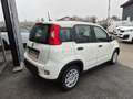 Fiat Panda 4x2 FireFly Hybrid 70 Weiß - thumbnail 5