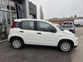 Fiat Panda 4x2 FireFly Hybrid 70 Weiß - thumbnail 4
