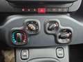 Fiat Panda 4x2 FireFly Hybrid 70 Weiß - thumbnail 12