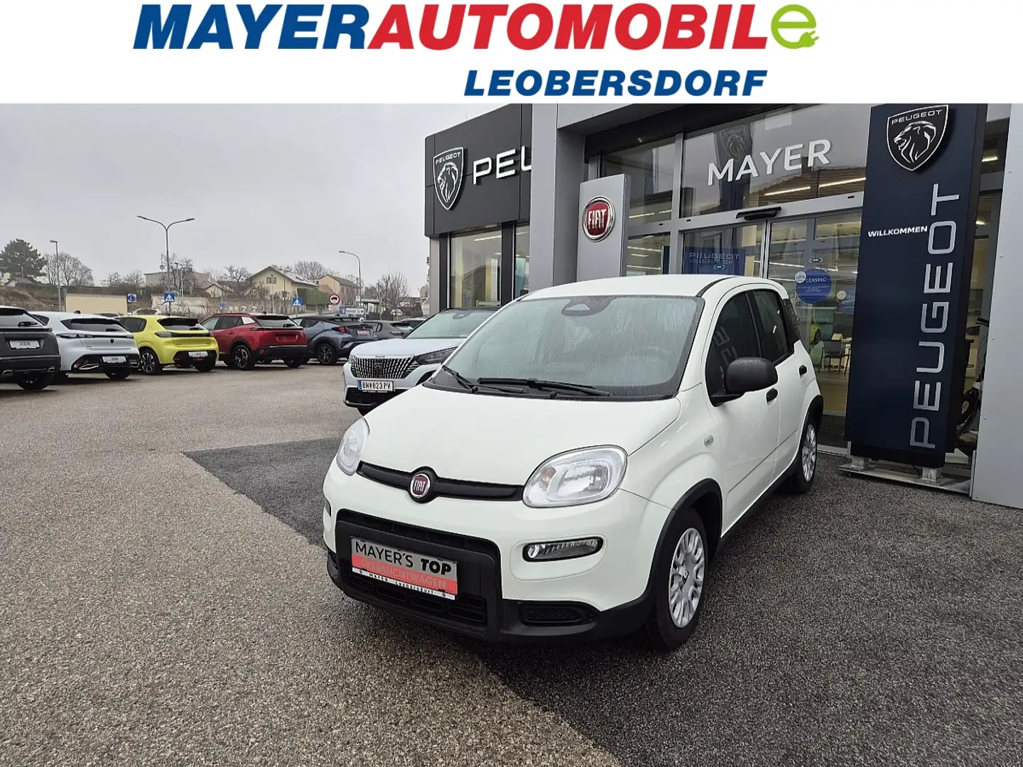Fiat Panda 4x2 FireFly Hybrid 70 Weiß - 1