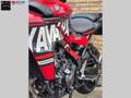 Yamaha Tracer 9 Rouge - thumbnail 7