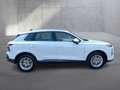 Audi Q3 TDI 110 kW  intense Weiß - thumbnail 6