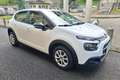 Citroen C3 BlueHDi 100 S&S Van Feel Bianco - thumbnail 1