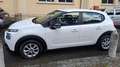 Citroen C3 BlueHDi 100 S&S Van Feel Bianco - thumbnail 4