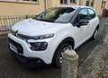 Citroen C3 BlueHDi 100 S&S Van Feel Bianco - thumbnail 3