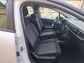 Citroen C3 BlueHDi 100 S&S Van Feel Bianco - thumbnail 10