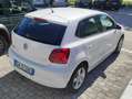 Volkswagen Polo 5p 1.2 tdi 75CV DIESEL *BASSISSIMI CONSUMI* Bianco - thumbnail 4