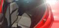 Ford Fiesta 5p 1.1 Plus 70cv my19 Rosso - thumbnail 11
