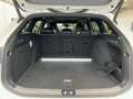 Volkswagen Passat Variant 2.0 TDI DSG R-Line "BLACK STYLE" Weiß - thumbnail 8