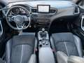 Kia ProCeed / pro_cee'd ProCeed GT-LINE 1.6CRDi Navi FullAssist Pano Tüv Rouge - thumbnail 13