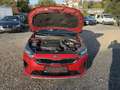 Kia ProCeed / pro_cee'd ProCeed GT-LINE 1.6CRDi Navi FullAssist Pano Tüv Rouge - thumbnail 8