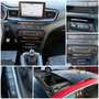 Kia ProCeed / pro_cee'd ProCeed GT-LINE 1.6CRDi Navi FullAssist Pano Tüv Rouge - thumbnail 14