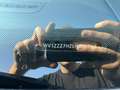 Volkswagen T6 Transporter T6 Kastenwagen LR 2,0 TDI Blau - thumbnail 20