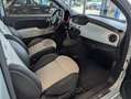 Fiat 500C 500 C 1.0 GSE N3 Hybrid Dolcevita Grün - thumbnail 10