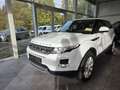 Land Rover Range Rover Evoque Dynamic Blanc - thumbnail 4