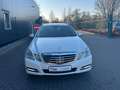 Mercedes-Benz E 250 E -Klasse T-Modell E 250 CDI 4-Matic Weiß - thumbnail 10