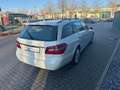 Mercedes-Benz E 250 E -Klasse T-Modell E 250 CDI 4-Matic Weiß - thumbnail 6